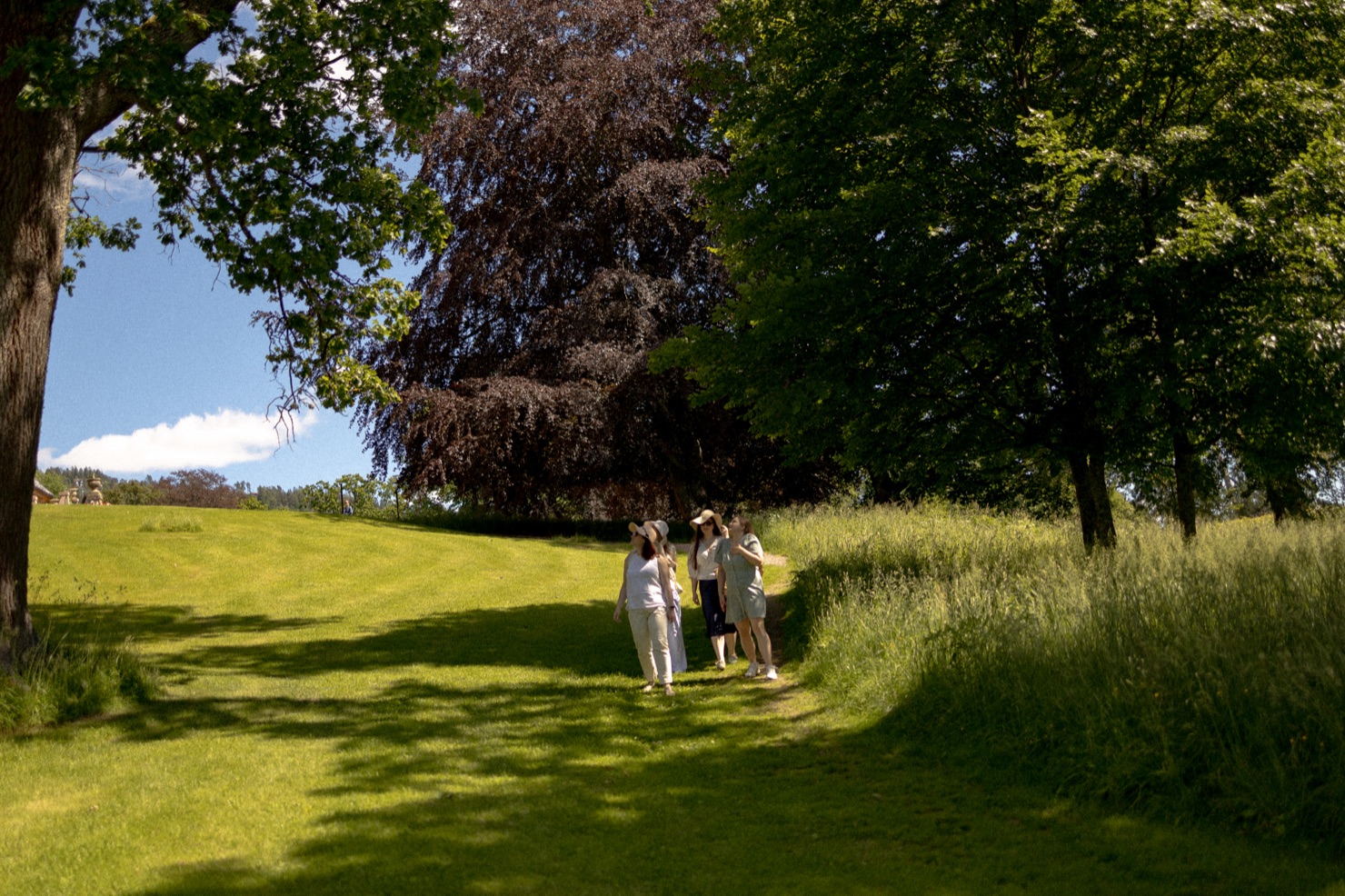 Walking through the sunlit meadow